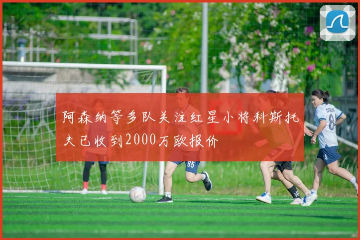 阿森纳等多队关注红星小将科斯托夫已收到2000万欧报价