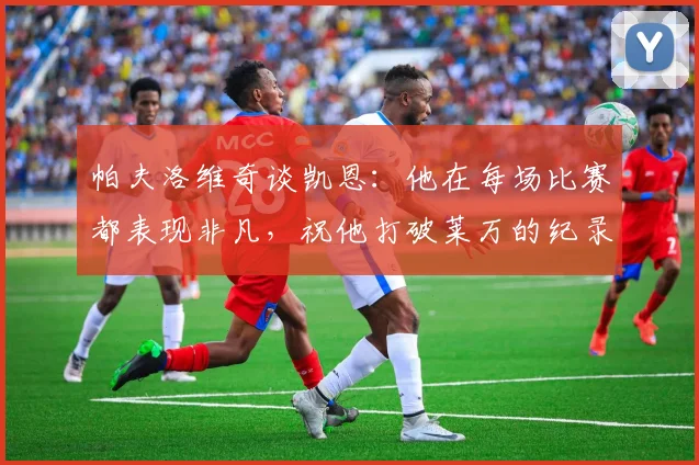 帕夫洛维奇谈凯恩：他在每场比赛都表现非凡，祝他打破莱万的纪录