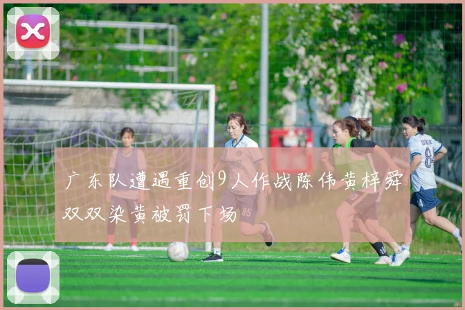 广东队遭遇重创9人作战陈伟黄梓舜双双染黄被罚下场