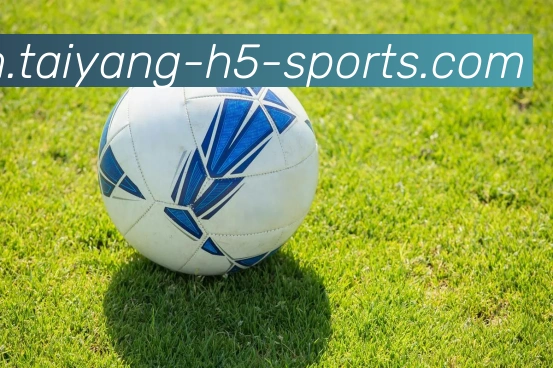 App Interface Preview